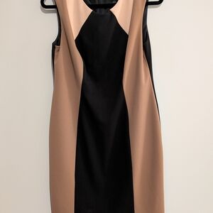 Connected Apparel sleeveless colorblock sheath dress.
